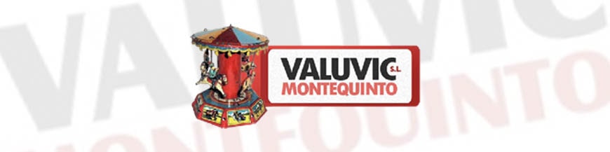 Banner Valuvic